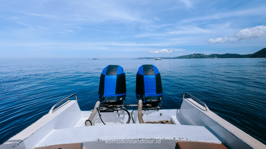 komodo island, komodo tour, komodo dragon, one day tour by speedboat, labuan bajo, labuan bajo trip