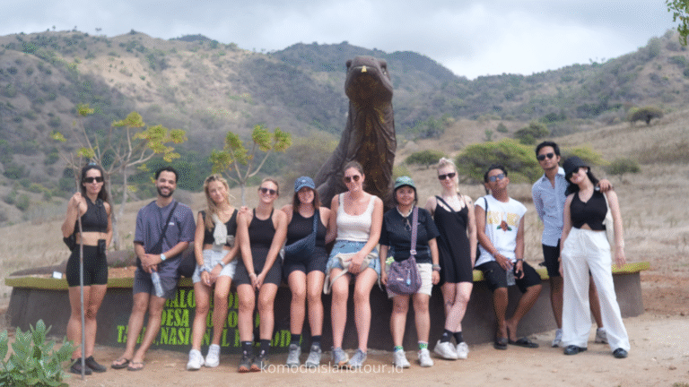 rinca island, pink beach, komodo trip, komodo labuan bajo, labuan bajo,2 hari 1 malam trip labuan bajo, trip labuan bajo, labuan bajo trip, senada phinisi, komodo dragon