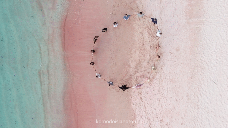 komodo island, komodo tour, komodo dragon, one day tour by speedboat, labuan bajo, pink beach