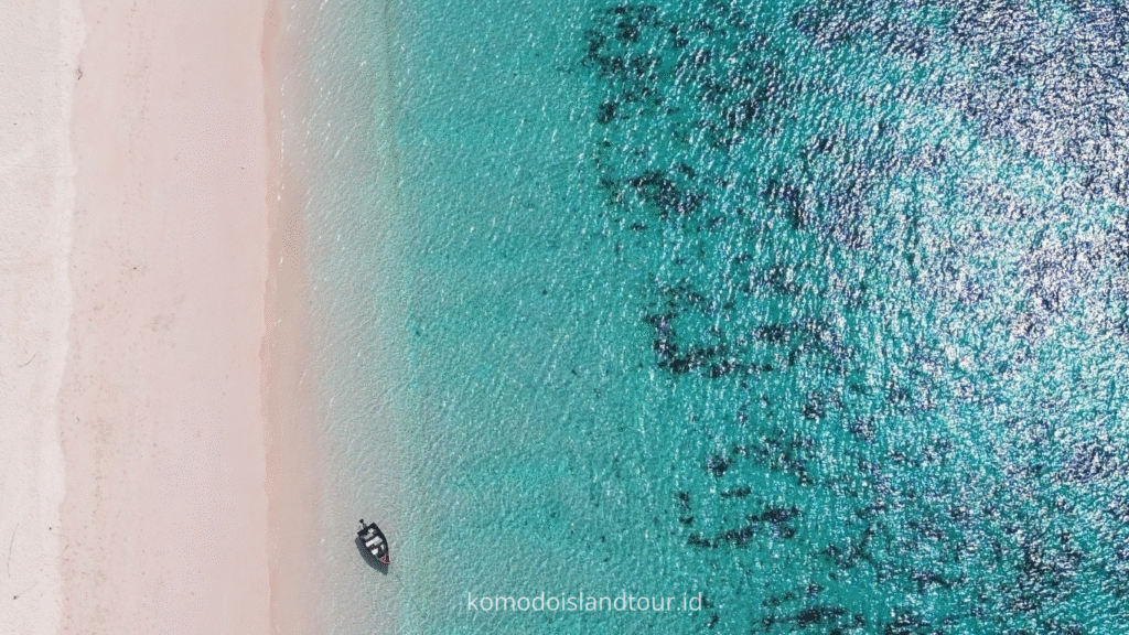 komodo island, komodo tour, komodo dragon, one day tour by speedboat, labuan bajo, pink beach