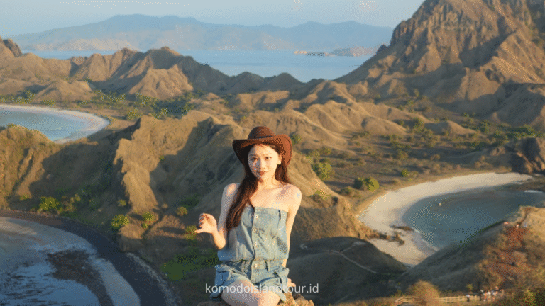 komodo island, komodo tour, komodo dragon, one day tour by speedboat, labuan bajo, pink beach