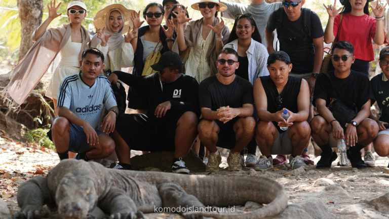 komodo island, komodo tour, komodo dragon, one day tour by speedboat, labuan bajo