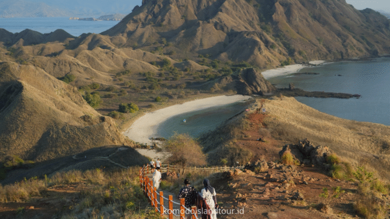 komodo island, komodo tour, komodo dragon, one day tour by speedboat, labuan bajo, labuan bajo trip, padar island