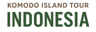 KOMODO ISLAND TOUR