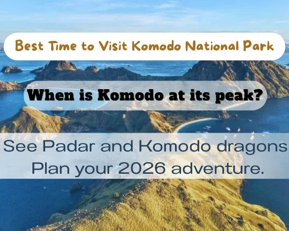 Best Time to Visit Komodo National Park