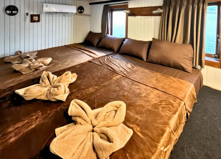 Labuan Bajo to Lombok – Whale Sharks & Komodo Tour