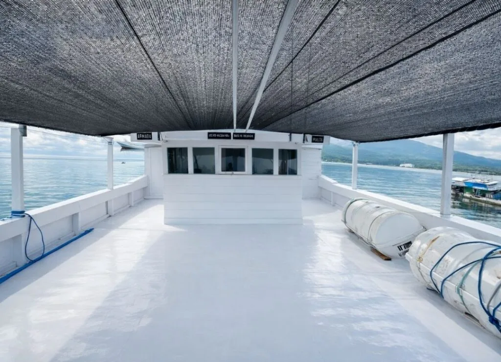 Komodo Island Tour Indonesia, komodo island, komodo national park, open trip labuan bajo, labuan bajo, labuan bajo trip, pink beach