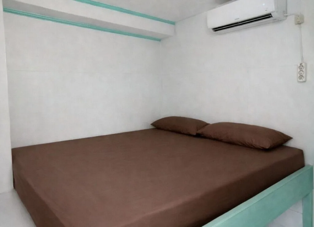 Komodo Island Tour Indonesia, komodo island, komodo national park, open trip labuan bajo, labuan bajo, labuan bajo trip, pink beach