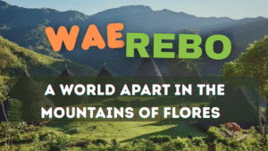 WaeRebo, WaeReboVillage, FloresIsland, FloresAdventure, CulturalJourney, AuthenticTravel, HiddenVillage, IndonesiaTravel, SlowTravel, TravelExperience