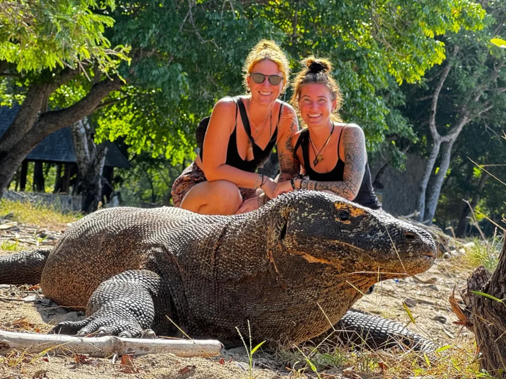 komodo-tour-guide-2026-komodo-tour-indonesia