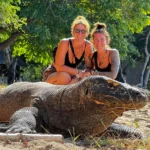 komodo-tour-guide-2026-komodo-tour-indonesia