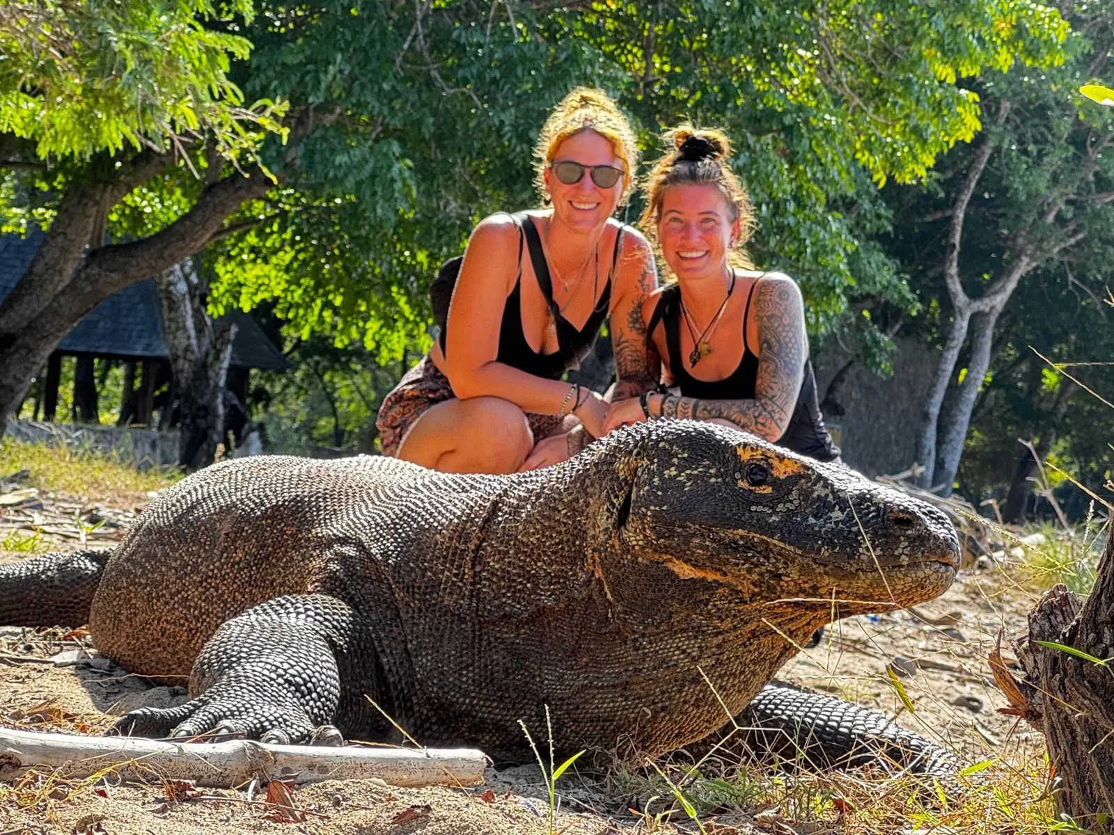 komodo-tour-guide-2026-komodo-tour-indonesia