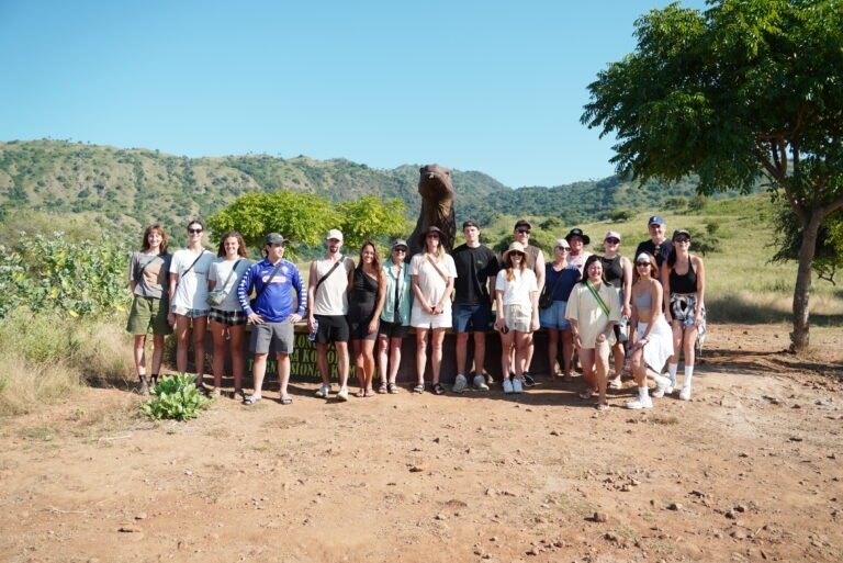 Labuan Bajo to Lombok | Pink Beach & Komodo Tour