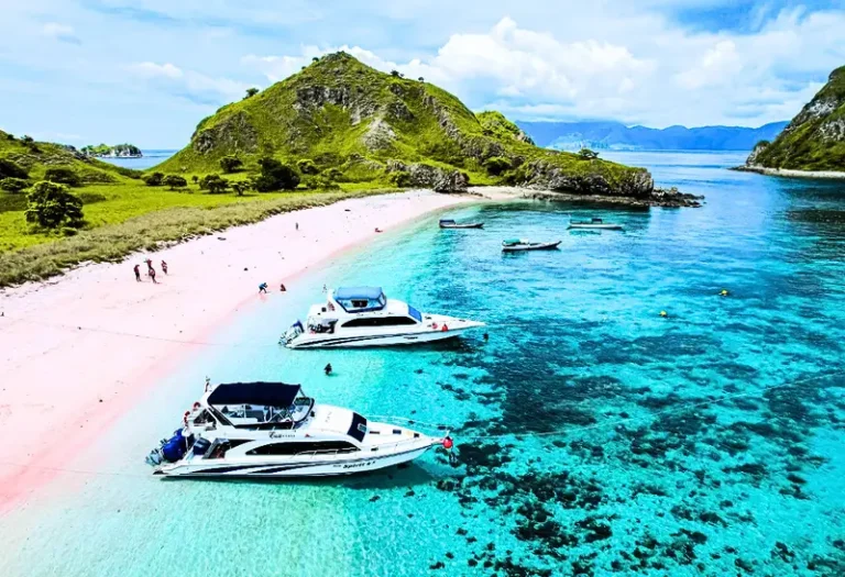 Sharing speed boat Komodo Tour