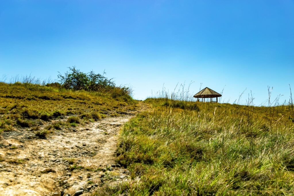 Rinca Island, Komodo National Park, Labuhan Bajo