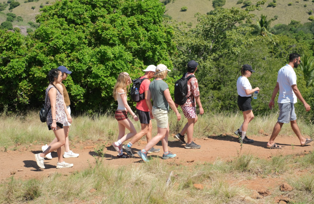 Labuan Bajo Komodo Tours