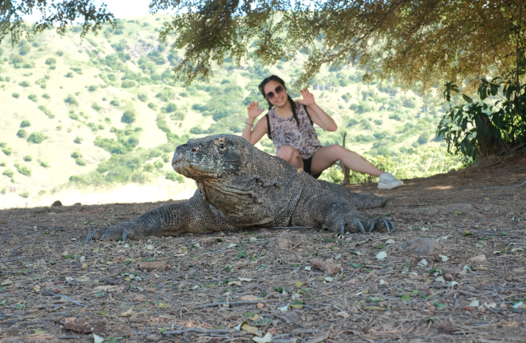 Labuan Bajo Komodo Tours