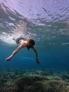 Snorkeling in Komodo