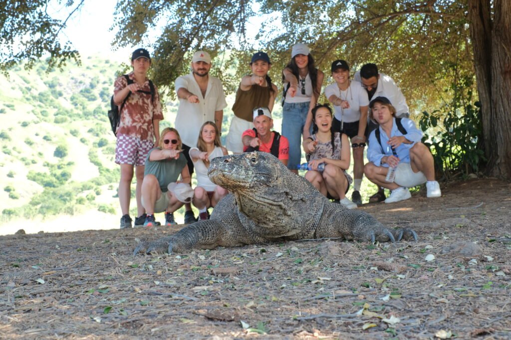 Where Do Komodo Dragons Come From