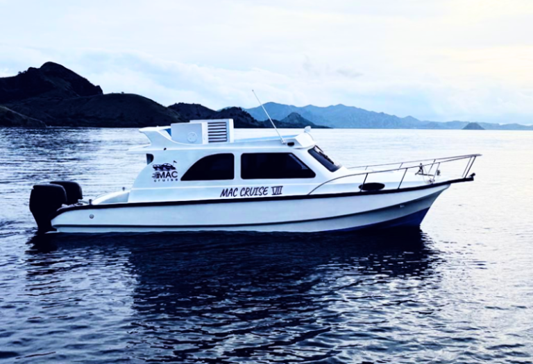 Private boat Komodo Tour