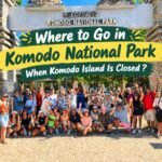 Where to Go in Komodo National Park When Komodo Island Is Closed, Komodo National Park, Komodo Island