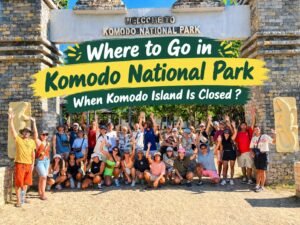 Where to Go in Komodo National Park When Komodo Island Is Closed, Komodo National Park, Komodo Island