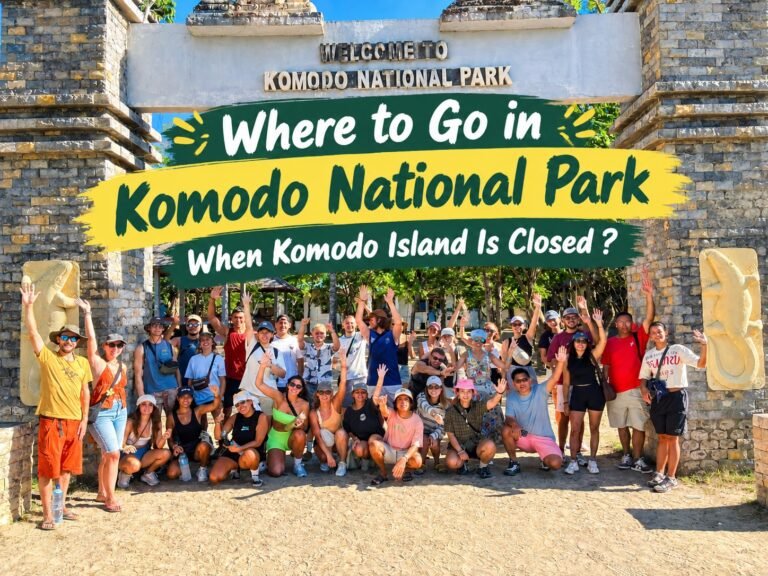 Where to Go in Komodo National Park When Komodo Island Is Closed, Komodo National Park, Komodo Island