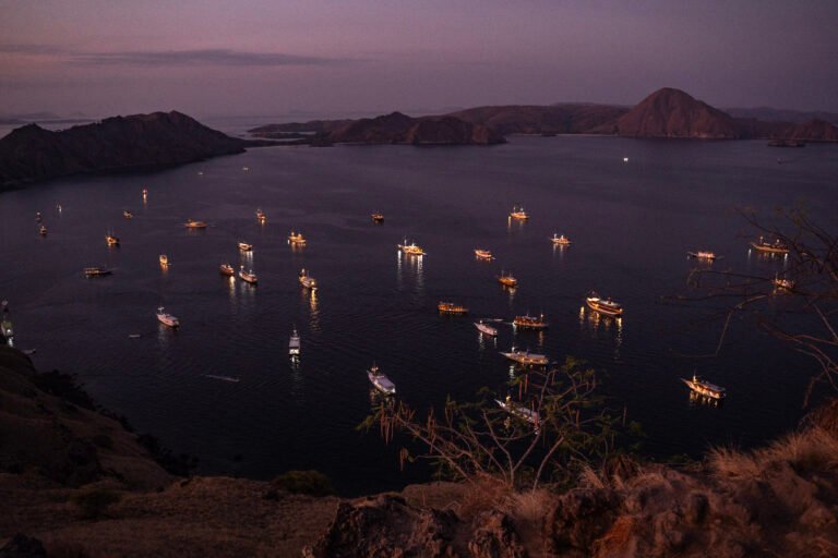 Komodo National Park: Rising Tourism and the Beauty of Indonesia's Island Paradise, komodo national park tourism statistics