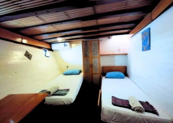 Comfort shared Premium Twin