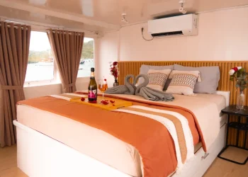 Master Cabin Giona-converted