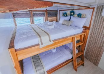 Sharing Cabin 04