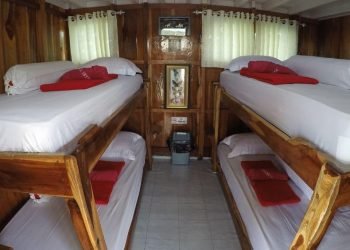 Sharing-Room-6-Kapal-North-Blue-Boat