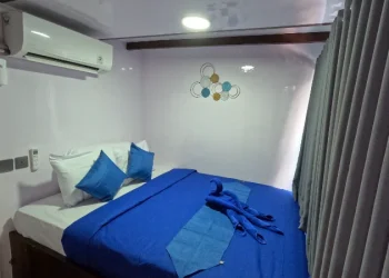 Superior Cabin Invictus