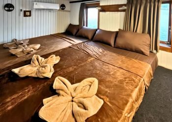 Labuan Bajo to Lombok – Whale Sharks & Komodo Tour