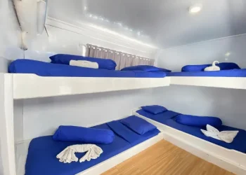 Open Trip Komodo Island