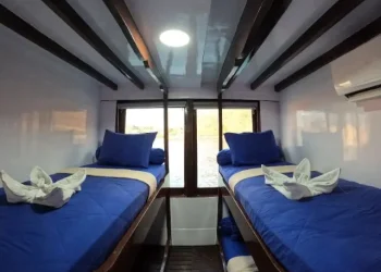 share-cabin-invictus